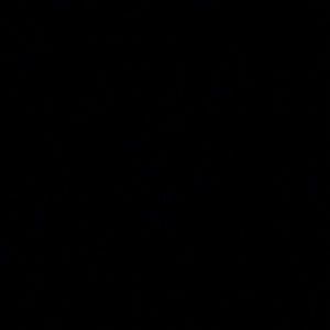 Meet your Posher, Vidal